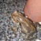 wpid-dsc_0482.jpg